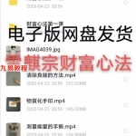 雷麒宗财富心法3视频2录音+资料 招财转运潜能激发手印祈祷文魔法