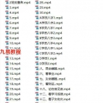 宋国元大师《金玄八字干支逻辑学》2019年课堂实录共51集视频