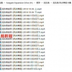 刘东亮 风水禅观19集视频 14个小时 百度网盘下载！