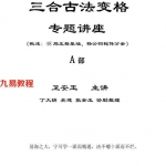 卫安玉三合古法变格专题讲座AB两册合集308页,高清电子书 百度云