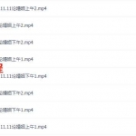 潘昭佑2017八字婚姻班8个视频 百度云下载!