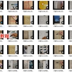 赖布衣天星风水讲座50个视频,天星风水案例讲解 百度云下载