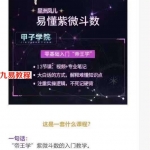 神棍局2021年甲子学院易懂紫薇斗数初级课程视频13集带配套文字资料