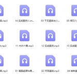 军师府信德《八宅与居家环境学初中高级》音频16课+文档	百度云
