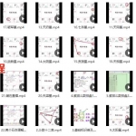 肖贞正紫薇斗数课程初中级视频23集 百度云下载!