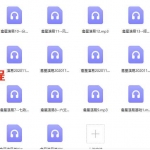 李林升 二十八宿禽星演禽 手抄本电子书+录音20个 百度云