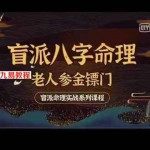 金镖门老人参盲派命理实战技法透解视频30集 百度云下载！