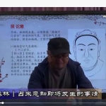 陈春林梅花神相断视频8集 百度云下载!
