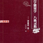沈立明-2020版数字能量学 高级内容册+号码分析册+深度解析册pdf