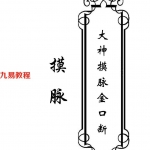 东北大神-《大神摸脉金口诀》.pdf 33页 摸脉原版 百度云下载!