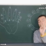 彭心融八字课程生活的艺术 初级中级高级视频126集 百度云