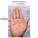 北国雪手掌诊病详解pdf+手诊B系统实战秘诀pdf 百度云