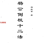 杨救贫-杨公倒杖十二法.pdf304页，百度云下载！