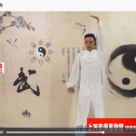陆天《武当长生门真阳秘功》视频9集 房事修炼功法 百度云