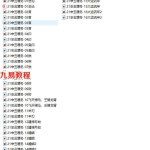 素水第九期2021冬季.八字格局班《流年.大运.财运.官运.婚姻》录音16集