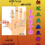 黄瑞海手相弟子班教学案例pdf 273页，200个案例 百度云