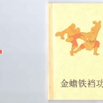 祁美娟《金蟾铁当功》一册80页pdf   百度云下载！