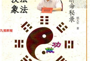 郑民生弟子 胡大军《盲师断命秘录》155页pdf 百度云下载!