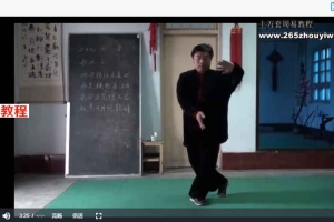 太极拳74式详解分解13集视频 百度云下载！