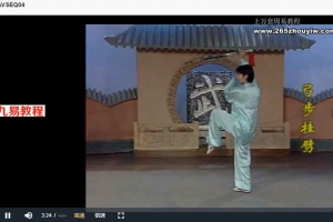 太极剑9套视频 百度云下载!