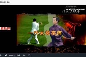 陈氏杨氏太极拳老架，推手，擒拿，名家示范多套视频 百度云