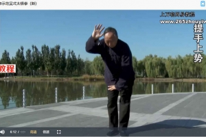 马世琦2016桩功课程合集 含桩功讲课+分动作演示高清示范