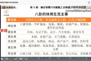 徐丙昕梅花分类预测课程 中级班课程12集视频 百度云下载!