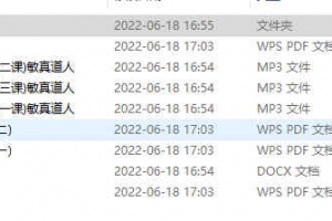 敏真道长鲁东老师无极象术录音+教材pdf 百度云下载！