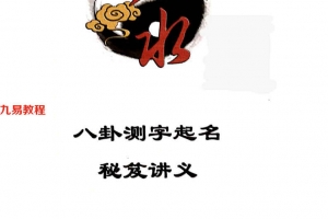 张一勺 八卦测字预测术一勺秘笈pdf 259页 百度云下载！