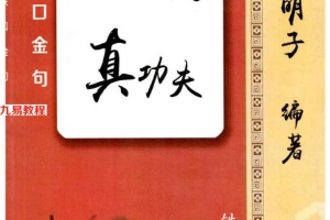 盲派真功夫 秘传瞎子铁口上千条 pdf 100页 百度云下载!