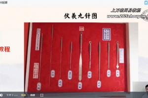 承文-易医绝技:伏羲九针缪刺疗法视频7集 百度云下载!