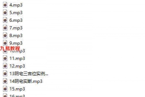 杜彦霖中华大玄空风水录音19集+13资料pdf 百度云下载!