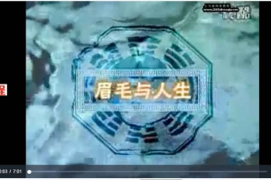 面相学全集视频教程11讲视频       百度云下载！