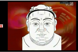 中国面相学概论视频共14集       百度云免费下载！