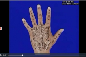 蔡洪光-观手知健康11集视频+讲义pdf   百度云下载！