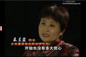 王晨霞-掌纹医学1集视频          百度云免费下载!