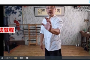 万千三圆掌一至五层功视频6集 百度云下载!