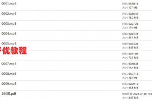 吕大师万法归宗290局 录音9集+文档 百度云下载！