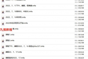 杨清娟  2022年7月盲派八字杭州培训班录音11个 百度云下载！