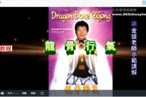 涂金盛  龙骨行气5集视频 百度云下载！