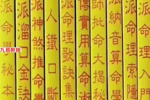 玄真盲派命理系列十册pdf 电子书 百度云下载!