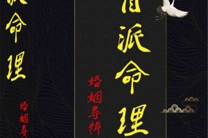 《盲派命理婚姻专辑》pdf 228页 百度云下载！