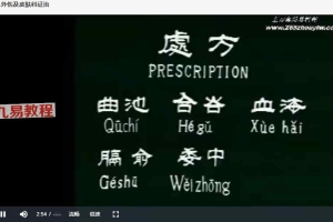 中国针灸学30集视频 百度云下载!