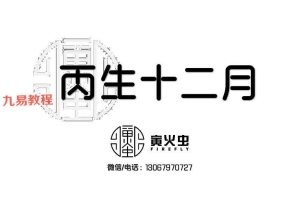 价值3000元十天干小贵大贵小富大富贫民7000个案例+2021新增案例pdf