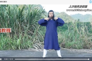 龙门天成-三九合一功三套功夫视频 百度云下载！