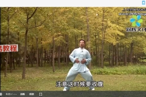 健身气功张琦八段锦视频3集 百度云免费下载!