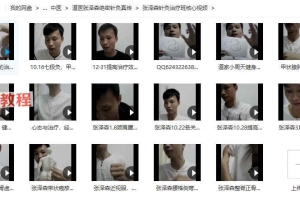 道医张泽森绝密针灸真传多套视频课程+资料pdf 百度云下载!