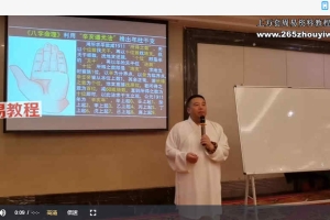 谷晟阳秘传古法八字进阶视频10集（3天3夜精品小班课）百度云下载！