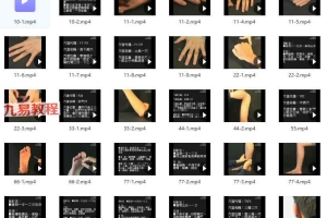 董氏奇穴穴位实操视频56集 百度云下载!