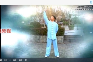 张琦易筋经功法视频3集 百度云下载！